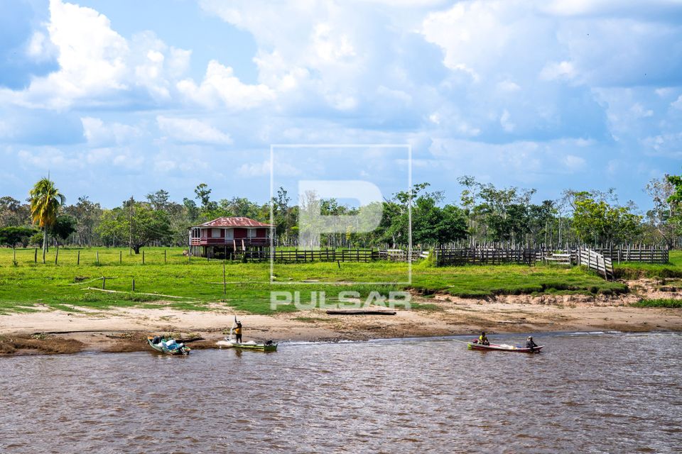 Comunidade ribeirinha de Nossa Senhora Aparecida na margem do Rio Solimões em período de estiagem