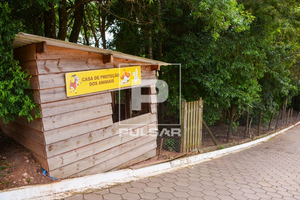 Galinheiro no Parque Ecológico Municipal Collemar de Miranda Botto