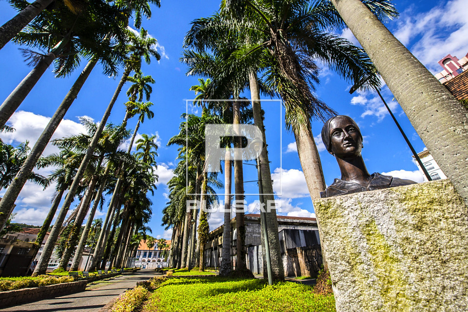 Alameda Brustlen também conhecida como rua das Palmeiras e busto da Princesa Dona Francisca  - obra de Fritz 