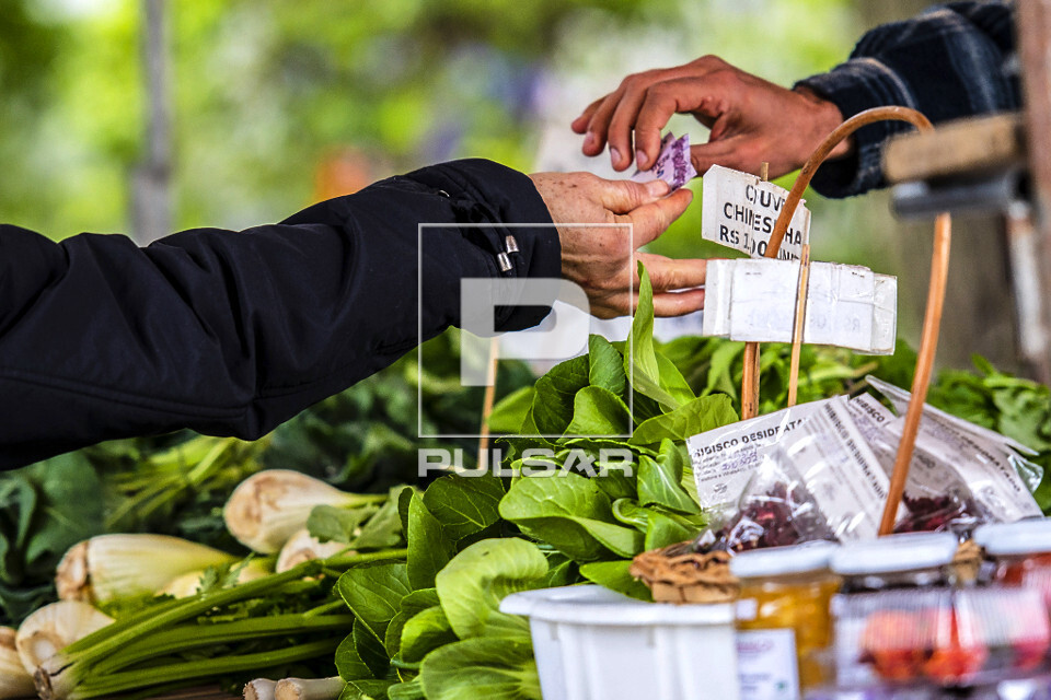 Consumidor pagando em barraca de verduras orgânicas da Feira Ecológica da Auxiliadora - bairro Auxiliadora -