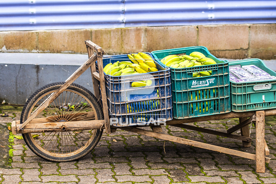 Detalhe de carregamento de bananas orgânicas na Feira Ecológica da Auxiliadora - bairro Auxiliadora - 