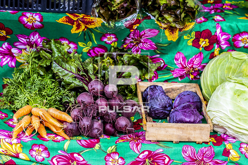 Detalhe de barraca com legumes orgânicos na Feira Ecológica da Auxiliadora - bairro Auxiliadora - 