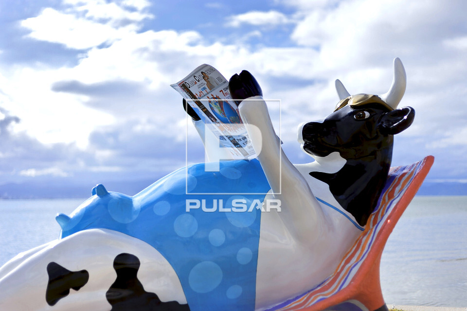 Cow Parade na orla marítima da capital catarinense | Pulsar