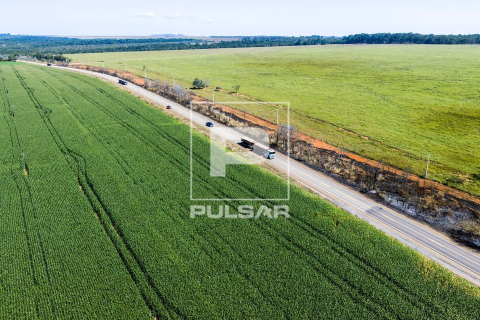 Vista de drone de plantação de milho na margem da Rodovia MT-403 e área de pastagem ao fundo 