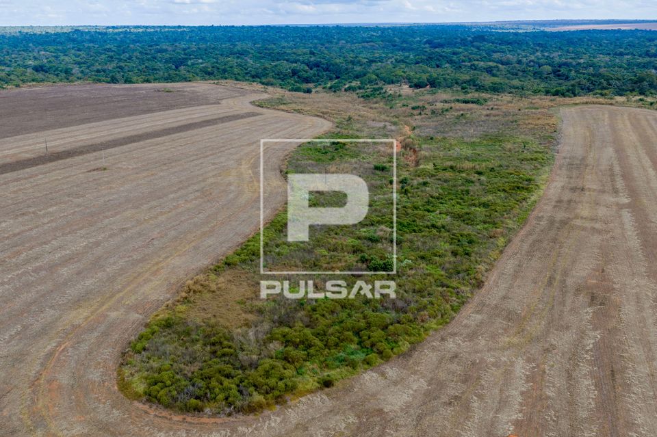 Vista de drone nascente cercada por plantação recém colhida. Degradação em fase de regeneração natural