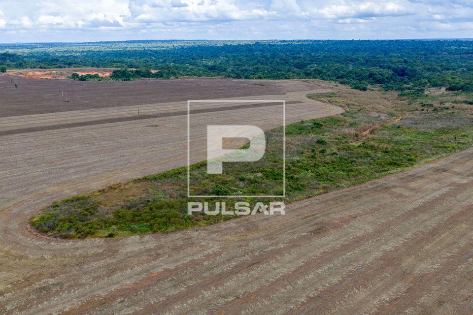 Vista de drone nascente cercada por plantação recém colhida. Degradação em fase de regeneração natural