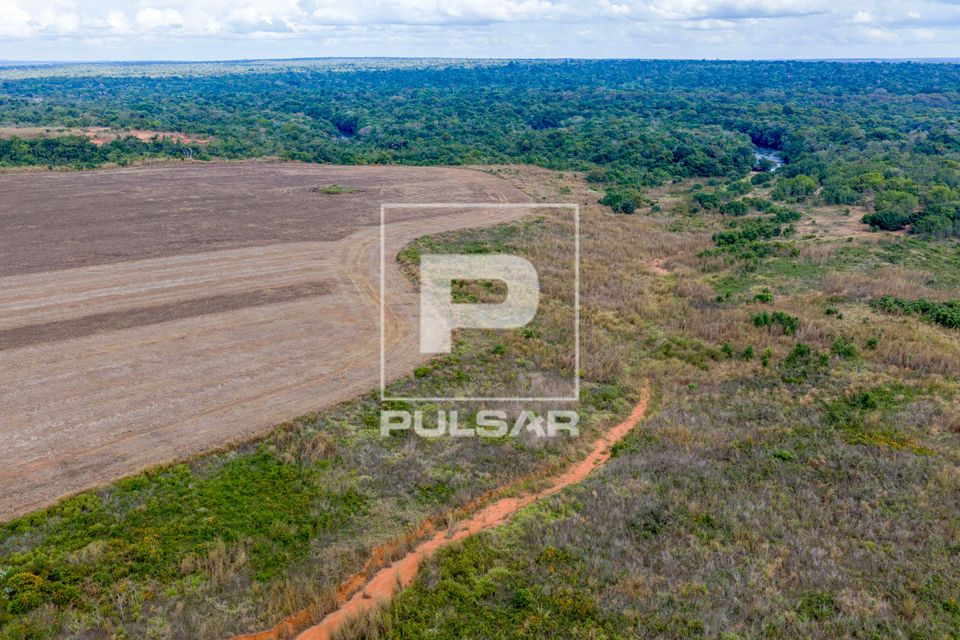 Vista de drone nascente cercada por plantação recém colhida. Degradação em fase de regeneração natural