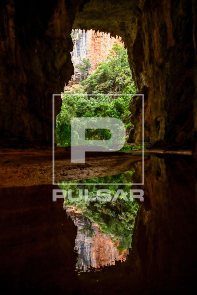 Vegetação refletida no Rio Peruaçu na Gruta do Janelão - Parque Nacional Cavernas do Peruaçu - transiçã