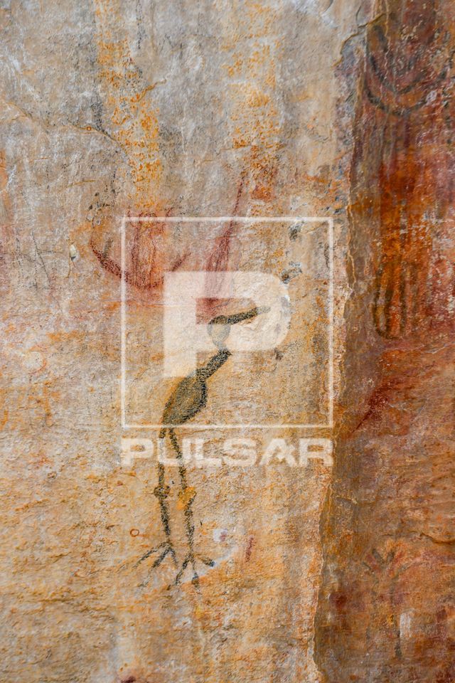 Pinturas rupestres na Lapa dos Desenhos - Parque Nacional Cavernas do Peruaçu - Mosaico Sertão Veredas-Perua