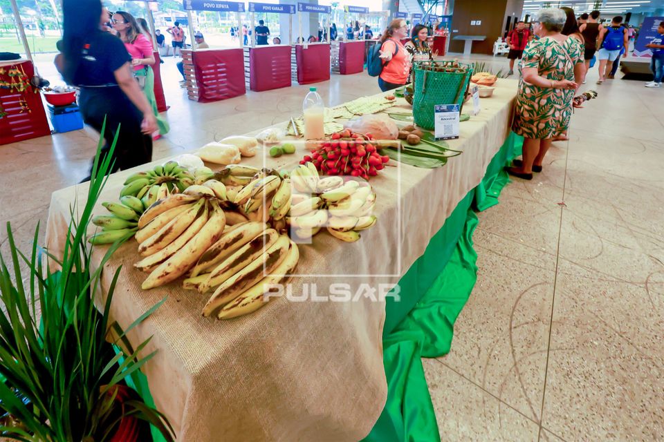 Alimentos da culinária indígena expostos na Semana dos Povos Indígenas no Parque da Cidade