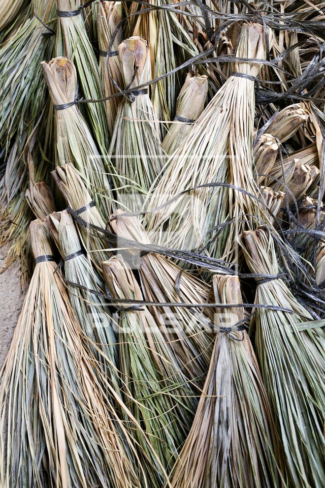 Produção familiar de vassouras com palhas da folha de carnaúba