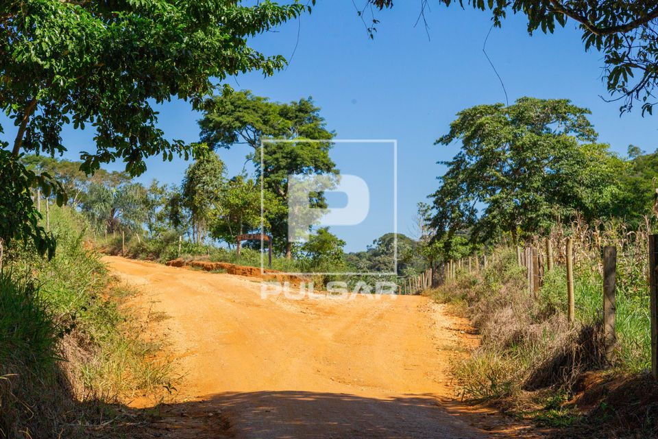 Bifurcação de estrada na zona rural
