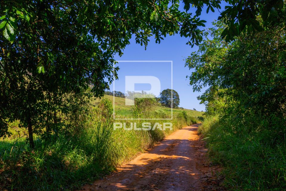 Estrada de terra  - zona rural