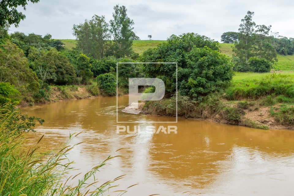 Trecho da margem do Rio Pomba com processo erosivo decorrente da supressão da mata ciliar