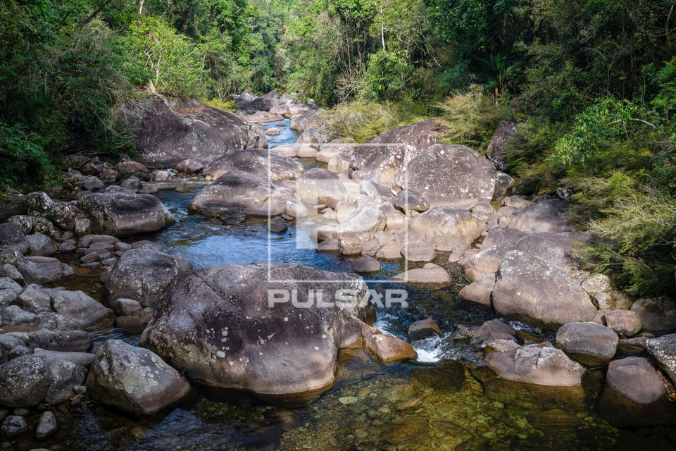 Rio na parte baixa do Parque Nacional do Itatiaia no Parque Nacional do Itatiaia