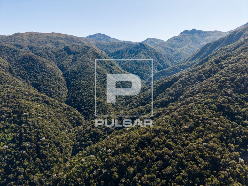 Vista de drone de mata atlântica na parte baixa do Parque Nacional do Itatiaia no Parque Nacional do Itatiaia