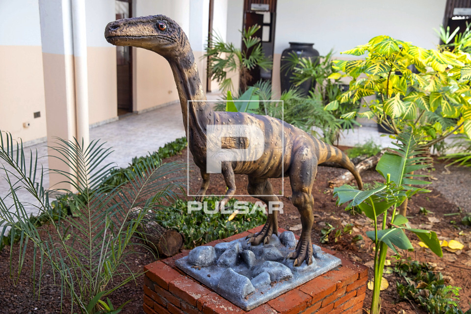 Réplica do Vespersaurus Paranaensis no Museu de Paleontologia