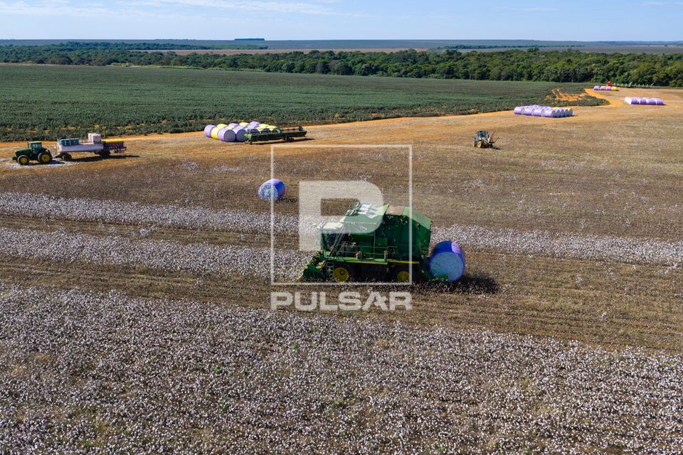 Vista de drone de colheitadeira de fuso que faz o enfardamento do algodão durante a colheita
