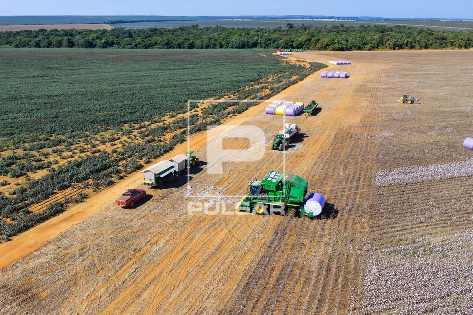 Vista de drone de colheitadeira de fuso que faz o enfardamento do algodão durante a colheita