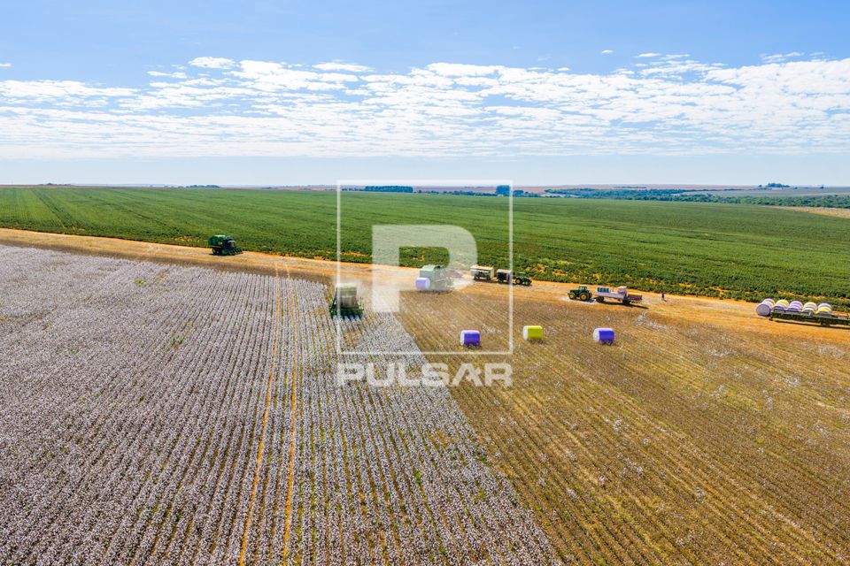 Vista de drone de colheitadeira de fuso que faz o enfardamento do algodão durante a colheita