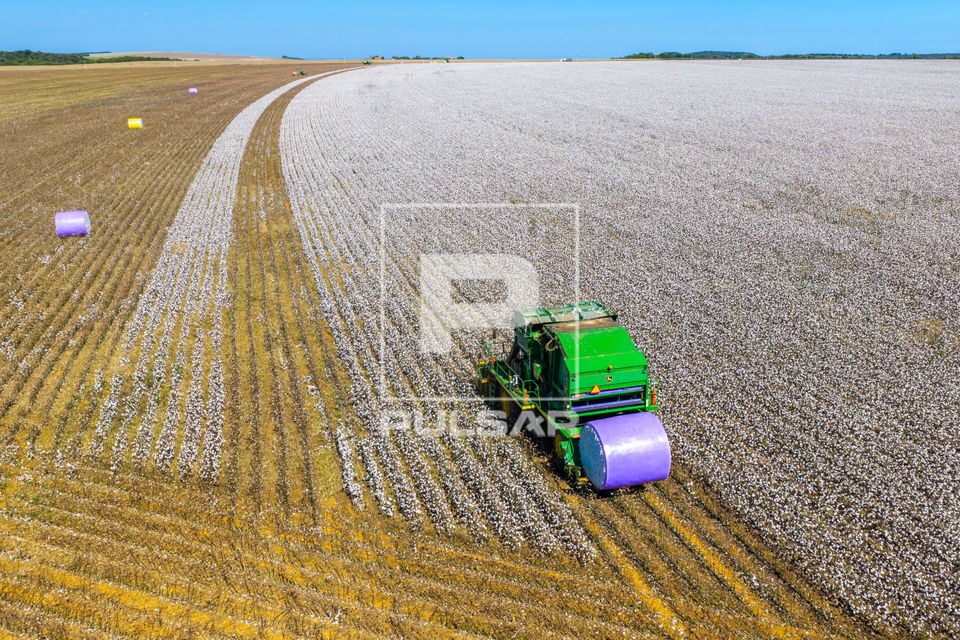 Vista de drone de colheitadeira de fuso que faz o enfardamento do algodão durante a colheita