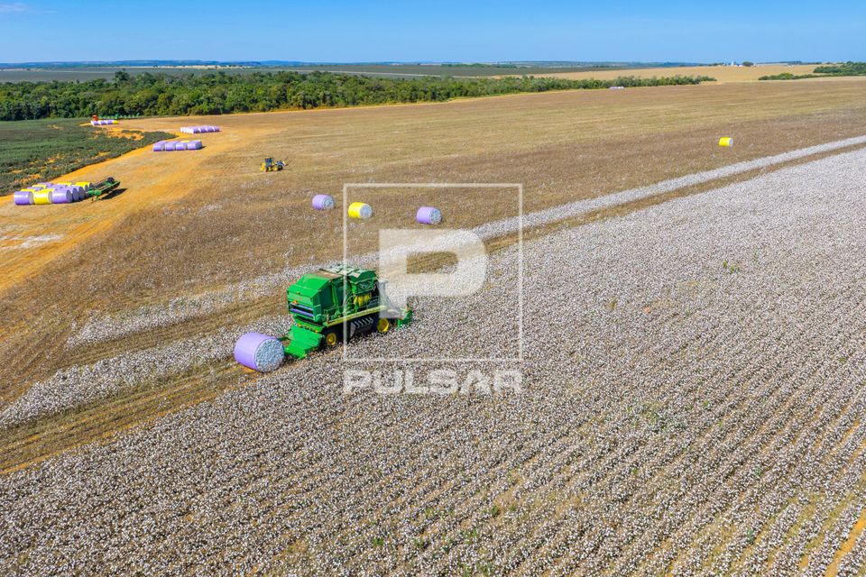 Colheitadeira de fuso realiza a catação e o enfardamento do algodão no campo