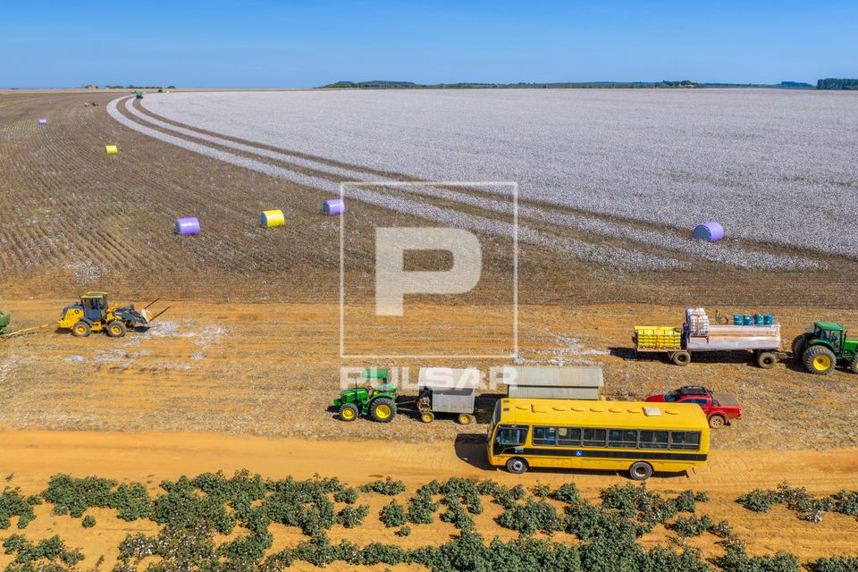 Vista de drone de plantação de algodão e trator com carreta refeitório e ônibus escolar trafegando