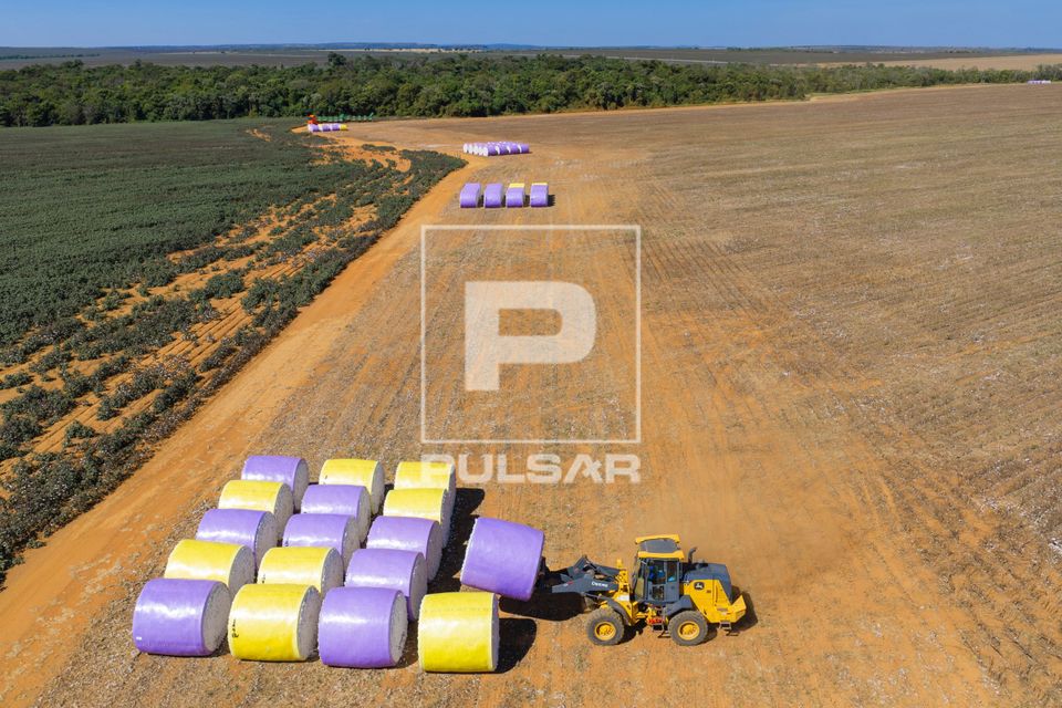 Empilhadeira com garfo agrupando os fardos de algodão para o transporte