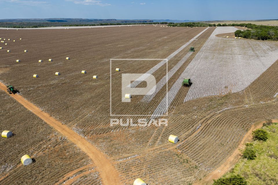 Vista de drone de colheita de algodão