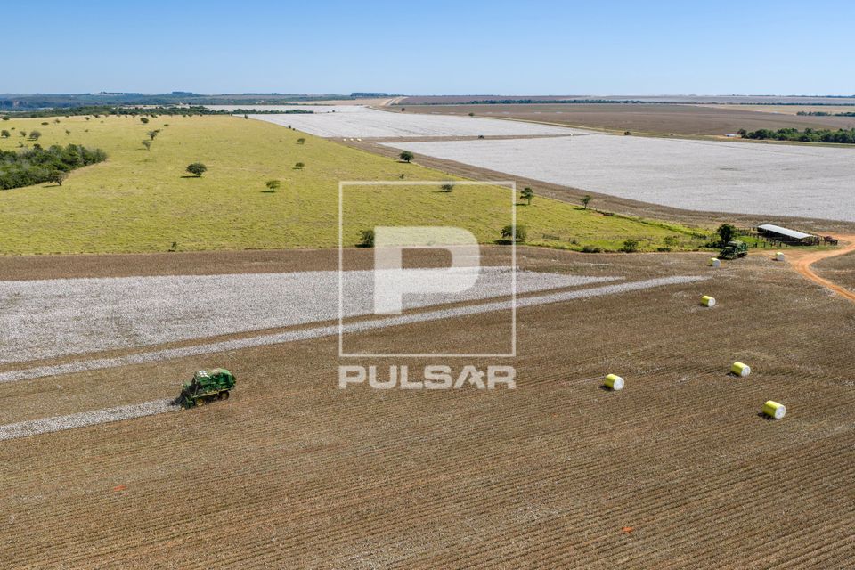 Vista de drone de colheita mecanizada de algodão