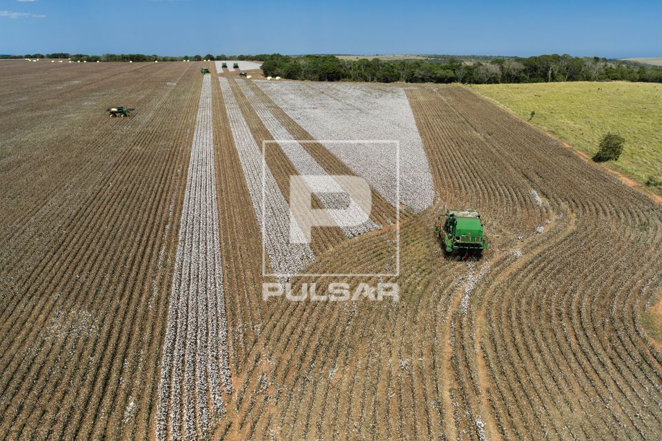 Vista de drone de colheita mecanizada de algodão