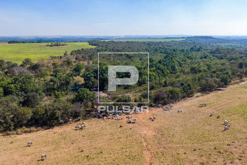 Vista de drone de evidenciando a degradação de nascente decorrente do pisoteio contínuo de gado na Área de