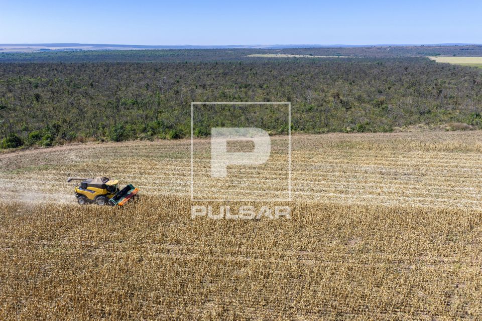 Vista de drone de colheita mecanizada de milho e ao fundo vegetação do cerrado preservada