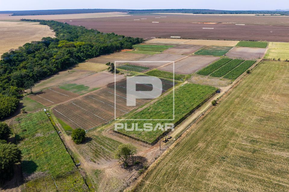 APP Área de Preservação Permanente na nascente do Rio da Casca , plantação de hortaliças na Agrovila Jo�