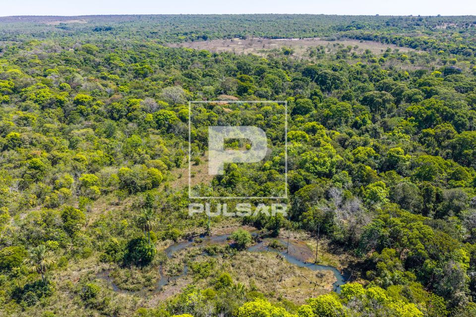Vista de drone da nascente principal do Rio da Casca - Estação Ecológica do Rio da Casca