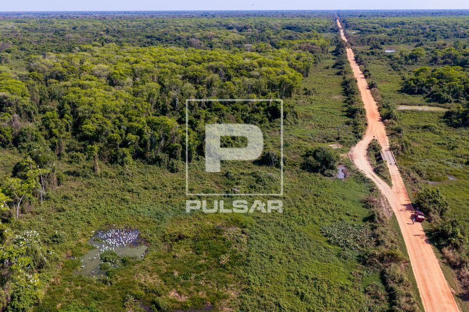 Vista de drone da Estrada Parque Transpantaneira MT-060 