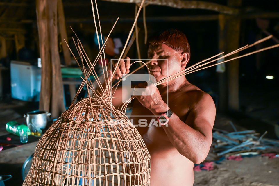 Indígena da etnia Wauja fechando cesto armadilha covo de cipó para pegar peixe - Parque Indígena do Xingu