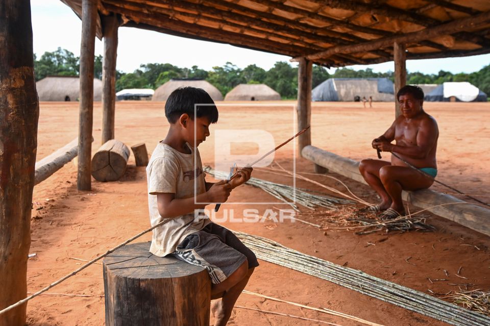 Menino indígena Wauja aprendendo a descascar vareta de embira para fazer cesta armadilha covo - Parque Indíg