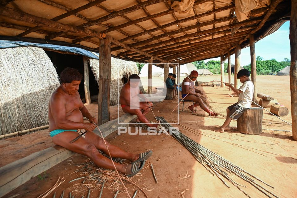 Indígenas Wauja descascando varetas de embira para fazer cesta armadilha covo - Parque Indígena do Xingu