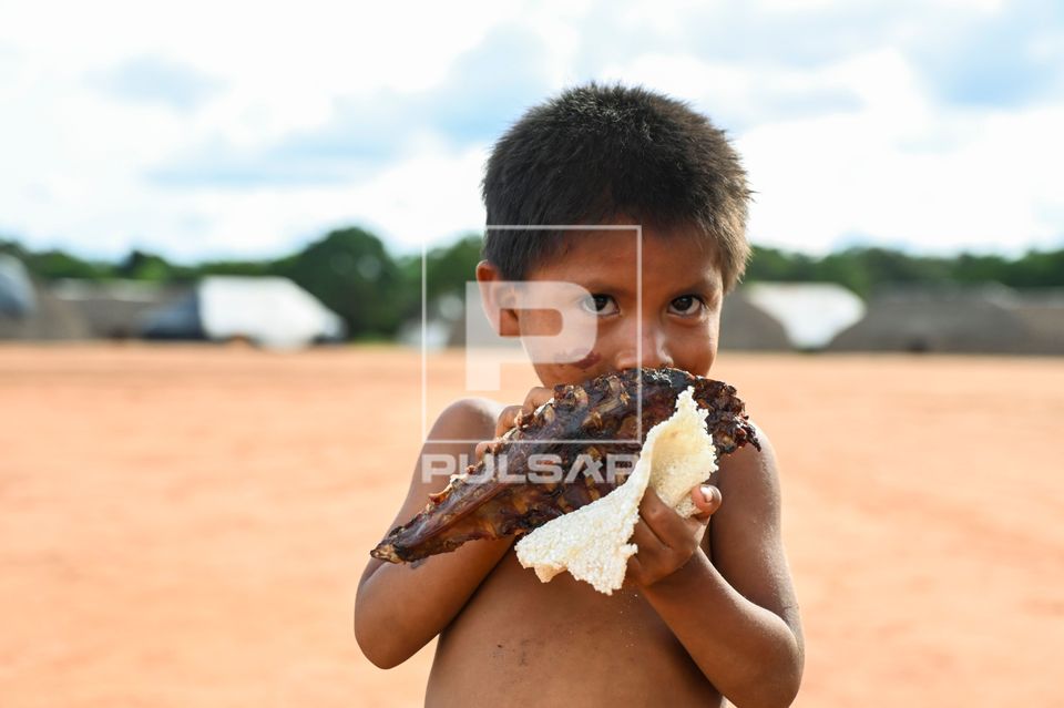 Menino indígena da etnia Wauja comendo carne de caititu com beiju - Parque Indígena do Xingu