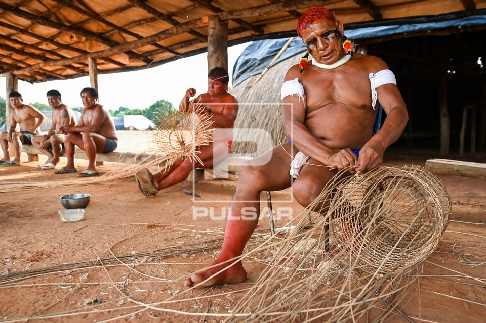 Indígenas da etnia Wauja fazendo cesto armadilha covo de cipó para pegar peixe - Parque Indígena do Xingu