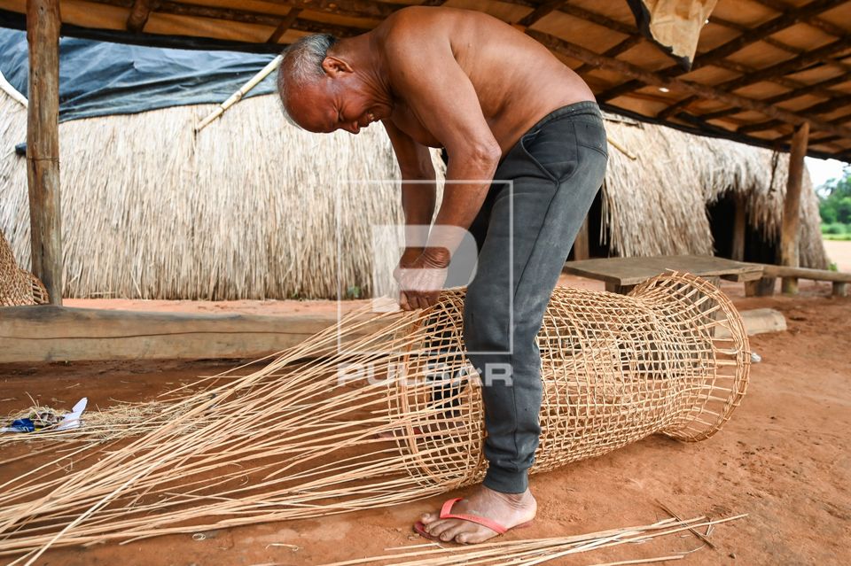 Indígenas da etnia Wauja fazendo cesto armadilha covo de cipó para pegar peixe - Parque Indígena do Xingu