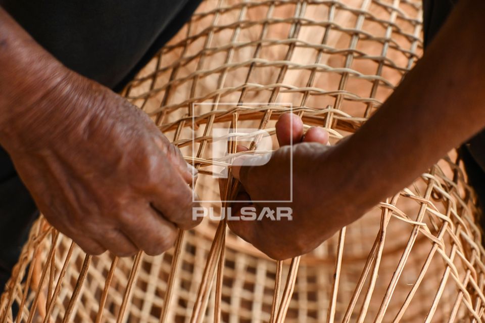 Indígena da etnia Wauja fazendo armadilha covo de cipó para pegar peixe - Parque Indígena do Xingu