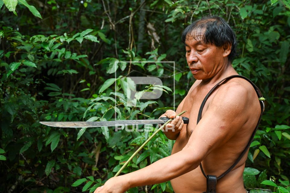 Indígena Wauja coletando vareta para produção de armadilha de peixes kuluto ou matapi - Parque Indígena do