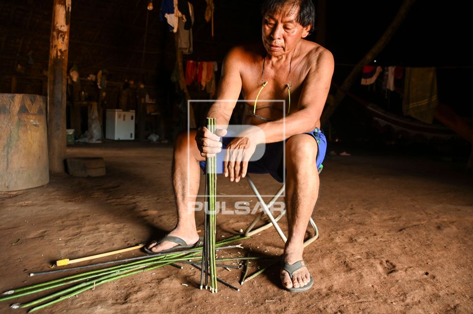 Indígena Wauja segurando varetas para produção de armadilha de peixes kuluto ou matapi - Parque Indígena d