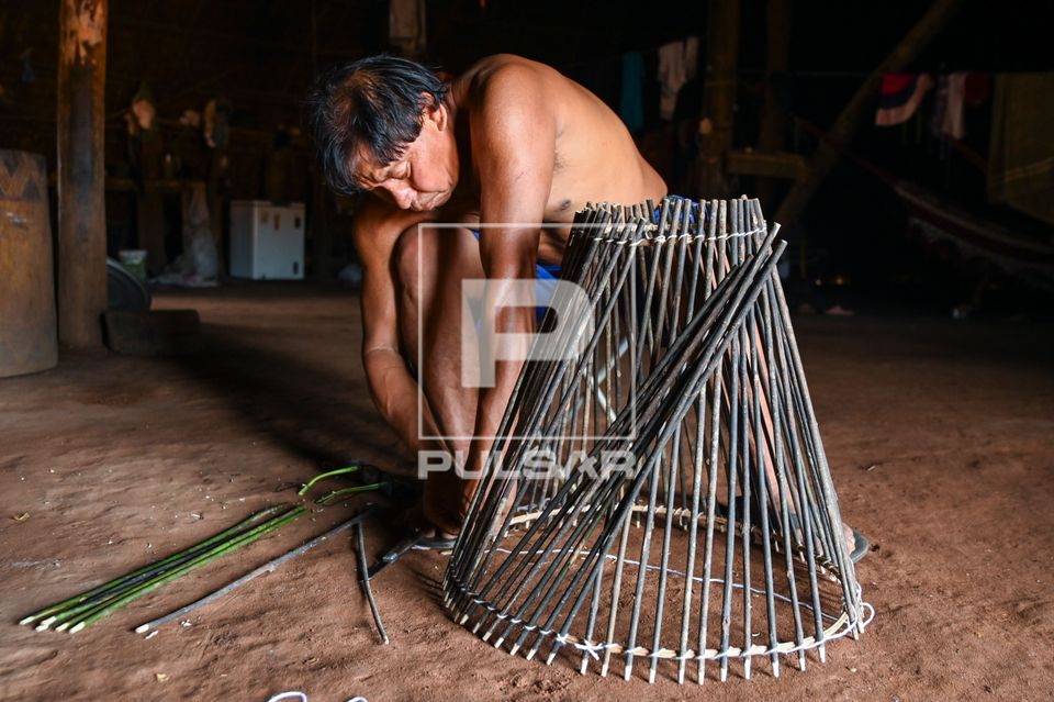 Indígena Waurá amarrando varetas em armadilha kuluto ou matapi de peixes em forma de cone - Parque Indígena