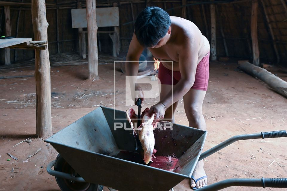 Indígena Waurá da aldeia Piyulaga cortando a cabeça de peixe pirarara - Parque Indígena do Xingu