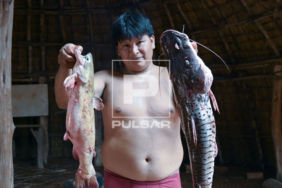 Indígena Waurá da aldeia Piyulaga segurando peixes antes do preparo - Parque Indígena do Xingu