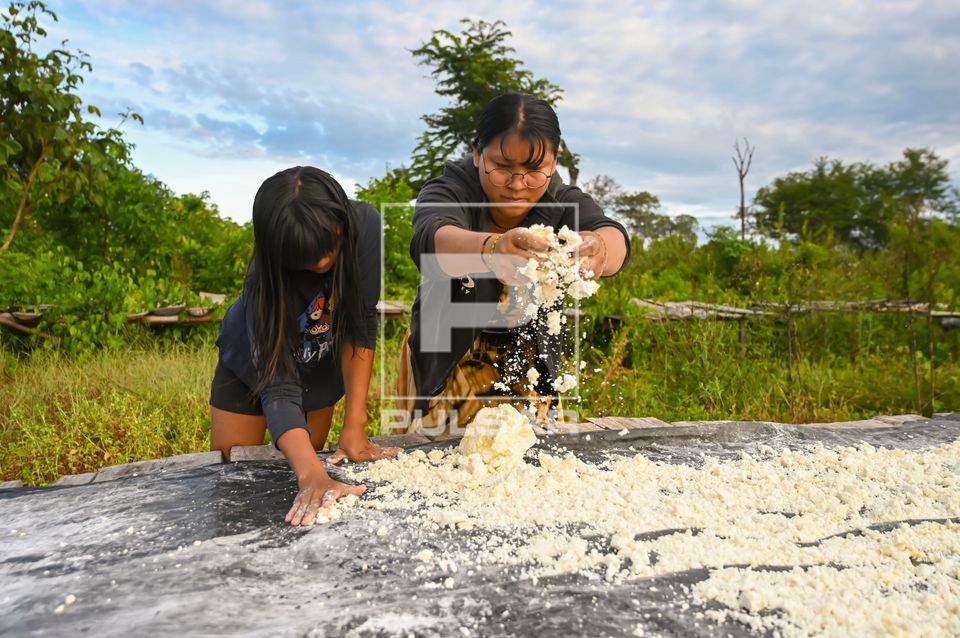 Indígena Waurá e filha esfarelando o polvilho para secar ao sol no jirau - Parque Indígena do Xingu