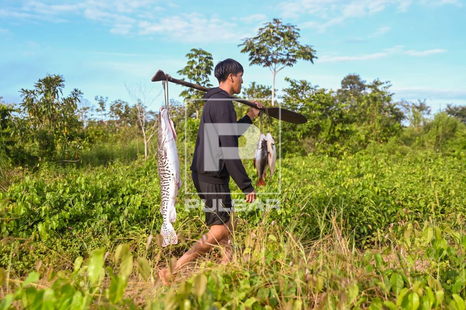 Indígena Waurá da aldeia Topepeweke carregando peixe alimentar família - Parque Indígena do Xingu